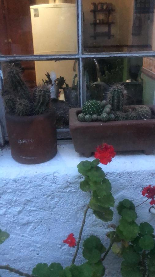 Home Stay Maria Hidalgo del Parral Dış mekan fotoğraf